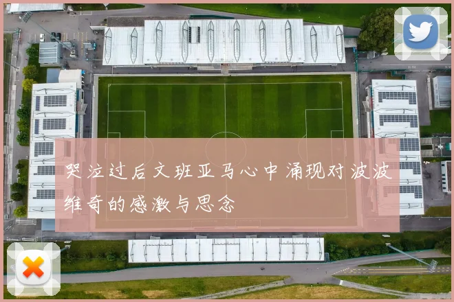 哭泣过后文班亚马心中涌现对波波维奇的感激与思念